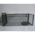 Cages de maison sur les chiens de compagnie personnalisés
